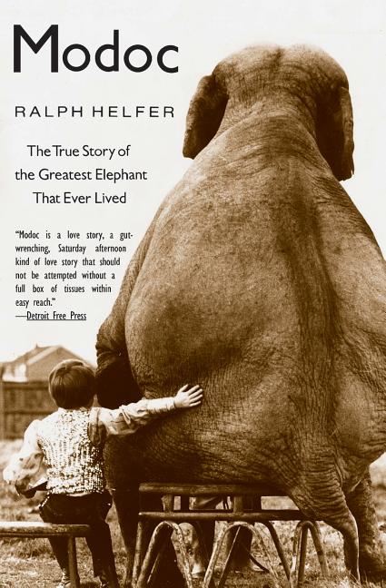 Item #14658 Modoc: The True Story of the Greatest Elephant That Ever Lived. Ralph Helfer