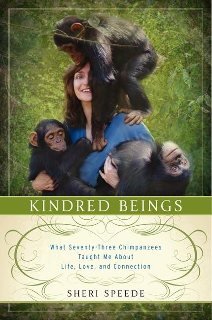 Item #470120 Kindred Beings: What Seventy-Three Chimpanzees Taught Me About Life, Love, and...