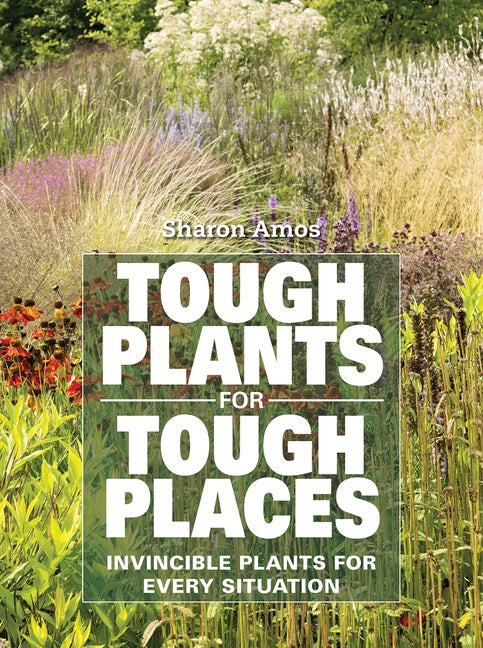 Item #570599 Tough Plants for Tough Places: Invincible Plants for Every Situation. Sharon Amos