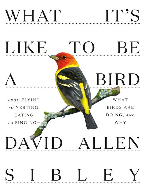 Item #520599 What It's Like to Be a Bird: From Flying to Nesting, Eating to Singing--What Birds...