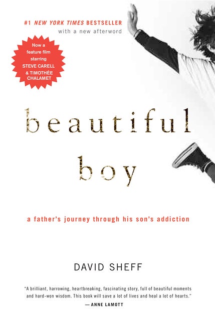 Item #550780 Beautiful Boy: A Father's Journey Through His Son's Addiction. David Sheff