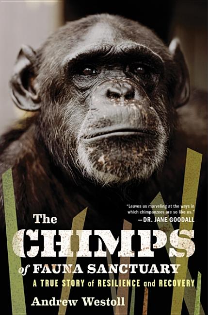 Item #181330 The Chimps of Fauna Sanctuary: A True Story of Resilience and Recovery. Andrew Westoll