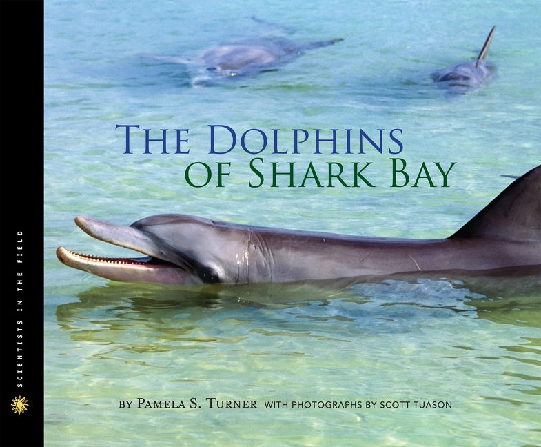 Item #181615 The Dolphins of Shark Bay (Scientists in the Field Series). Pamela S. Turner