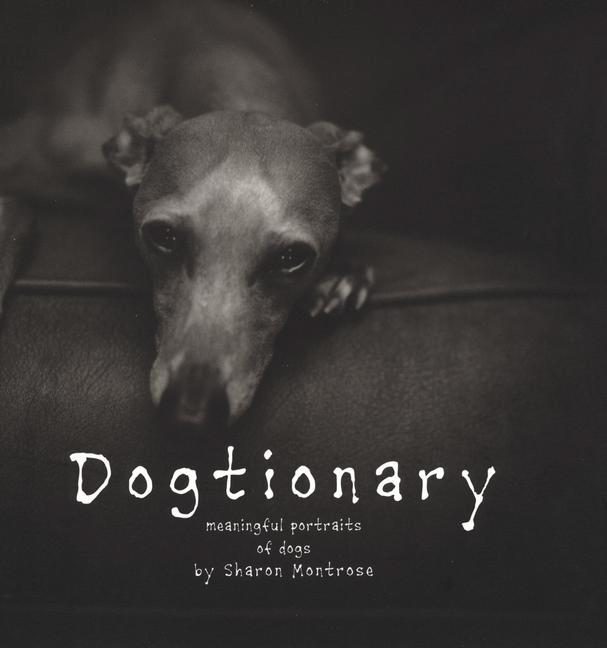 Item #198801 Dogtionary: Meaningful Portraits of Dogs. Sharon Montrose