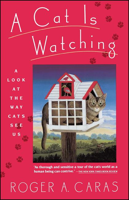 Item #534680 A Cat is Watching. Roger A. Caras