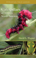 Item #220801 Caterpillars of Eastern North America: A Guide to Identification and Natural History...