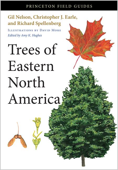 Item #220951 Trees of Eastern North America (Princeton Field Guides (91)). Gil Nelson, Richard,...