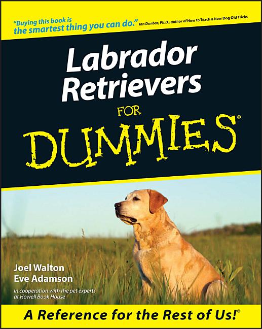 Item #542919 Labrador Retrievers For Dummies. Joel Walton, Eve, Adamson