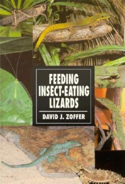 Item #551335 Feeding Insect Eating Lizards. David J. Zoffer