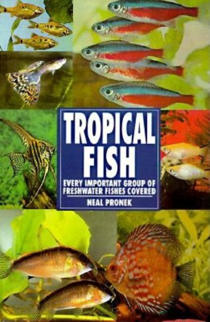 Item #261351 Tropical Fish. Neal Pronek