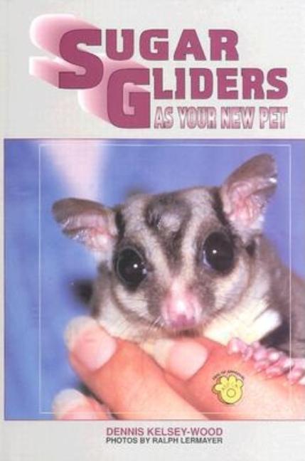 Item #502069 Sugar Gliders as Your New Pet. Dennis Kelsey-Wood