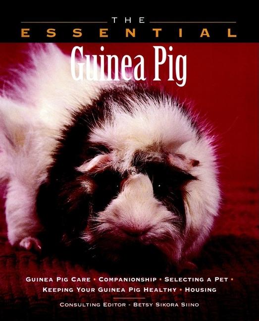 Item #300946 The Essential Guinea Pig