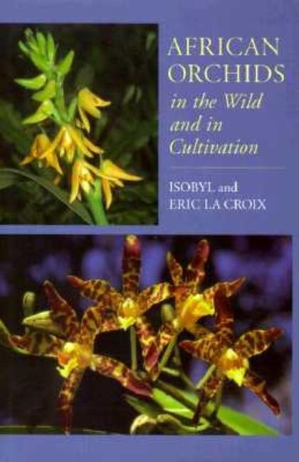 Item #305791 African Orchids in the Wild and in Cultivation. Isobyl LaCroix, Eric, Lacroix