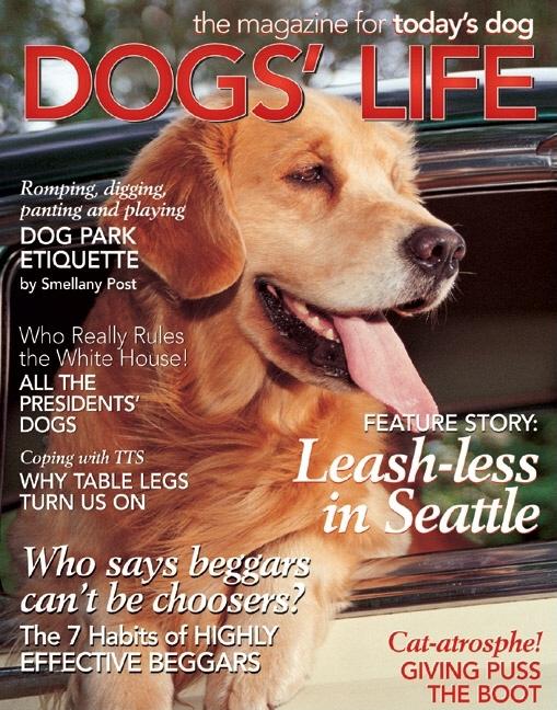 Item #550802 Dogs' Life: The Magazine for Today's Dog. Heidi Ott
