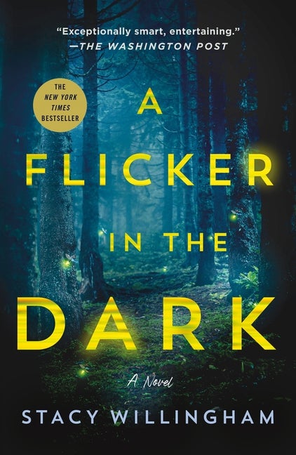 Flicker in the Dark. Stacy Willingham.