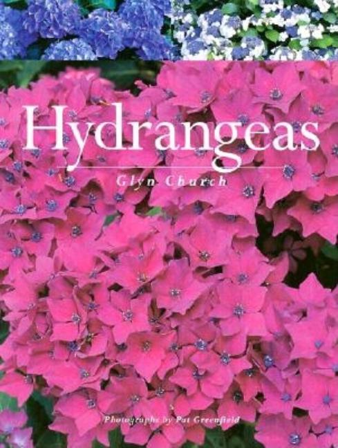 Item #354412 Hydrangeas. Glyn Church