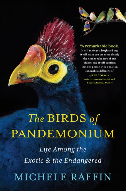 Item #530612 The Birds of Pandemonium. Michele Raffin