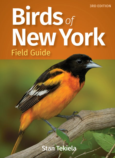 Item #538828 Birds of New York Field Guide (Bird Identification Guides). Stan Tekiela