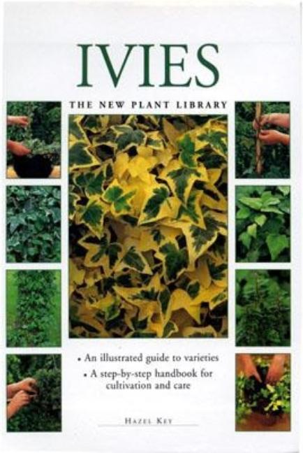 Item #402475 Little Plant Library: Ivies. Hazel Key
