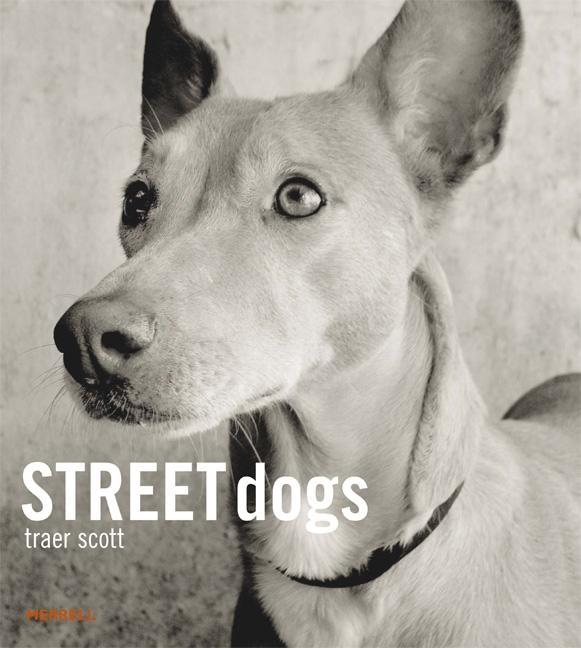 Item #406943 Street Dogs. Traer Scott