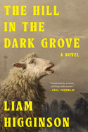 Hill in the Dark Grove