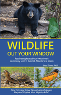 Item #600153 Wildlife Out Your Window: Fascinating Facts about 100 Animals Commonly Seen in the...